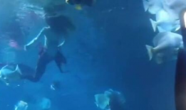 美人鱼视频,梦幻海洋的奇幻之旅